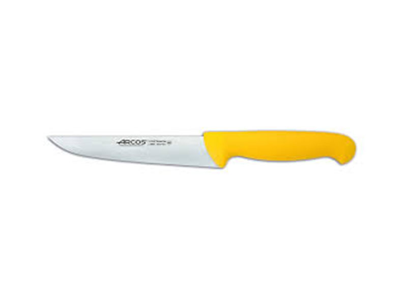 Kitchen knife with a coloured handle